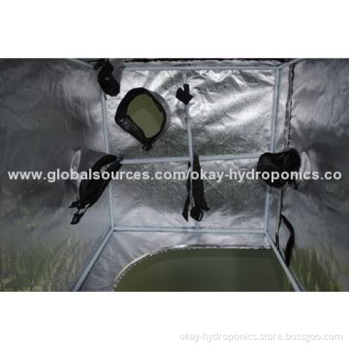 Grow Tent, 240 x 240 x 200cm